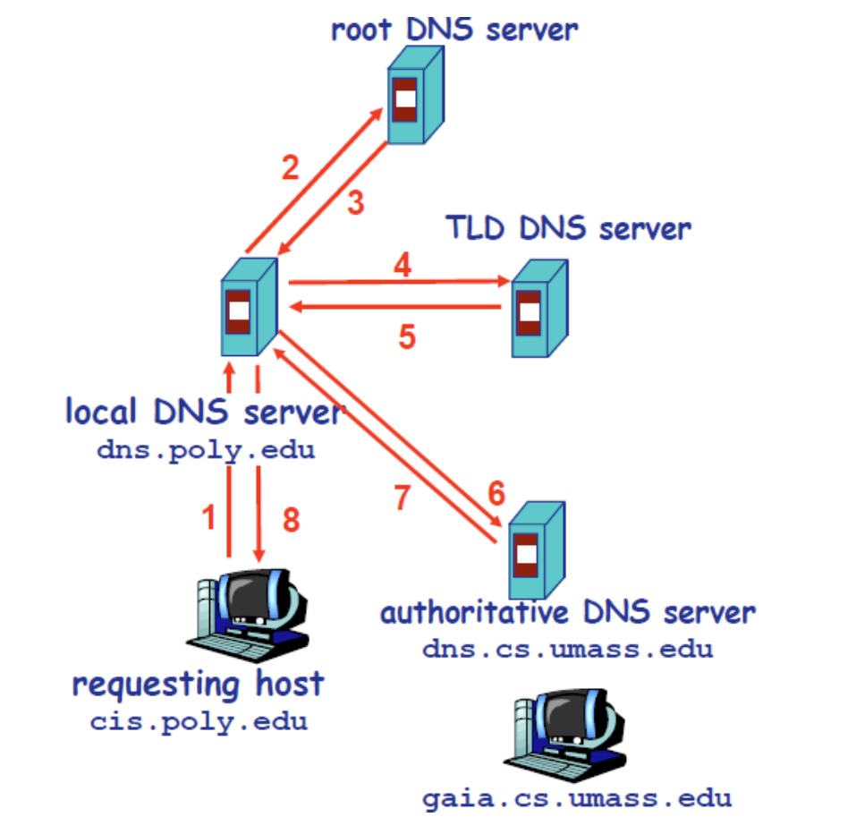 image-20250306223825953